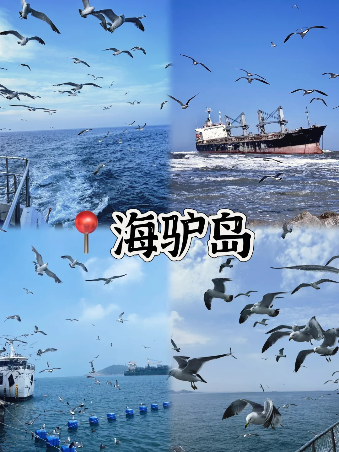 03女大📍威海/两天一夜精华版旅游攻略❗️