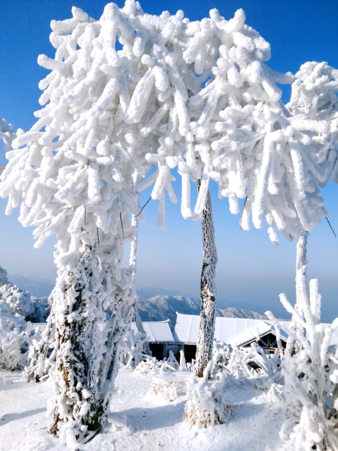 广东2h直达！最省时省钱的赏雪地：南岳衡山