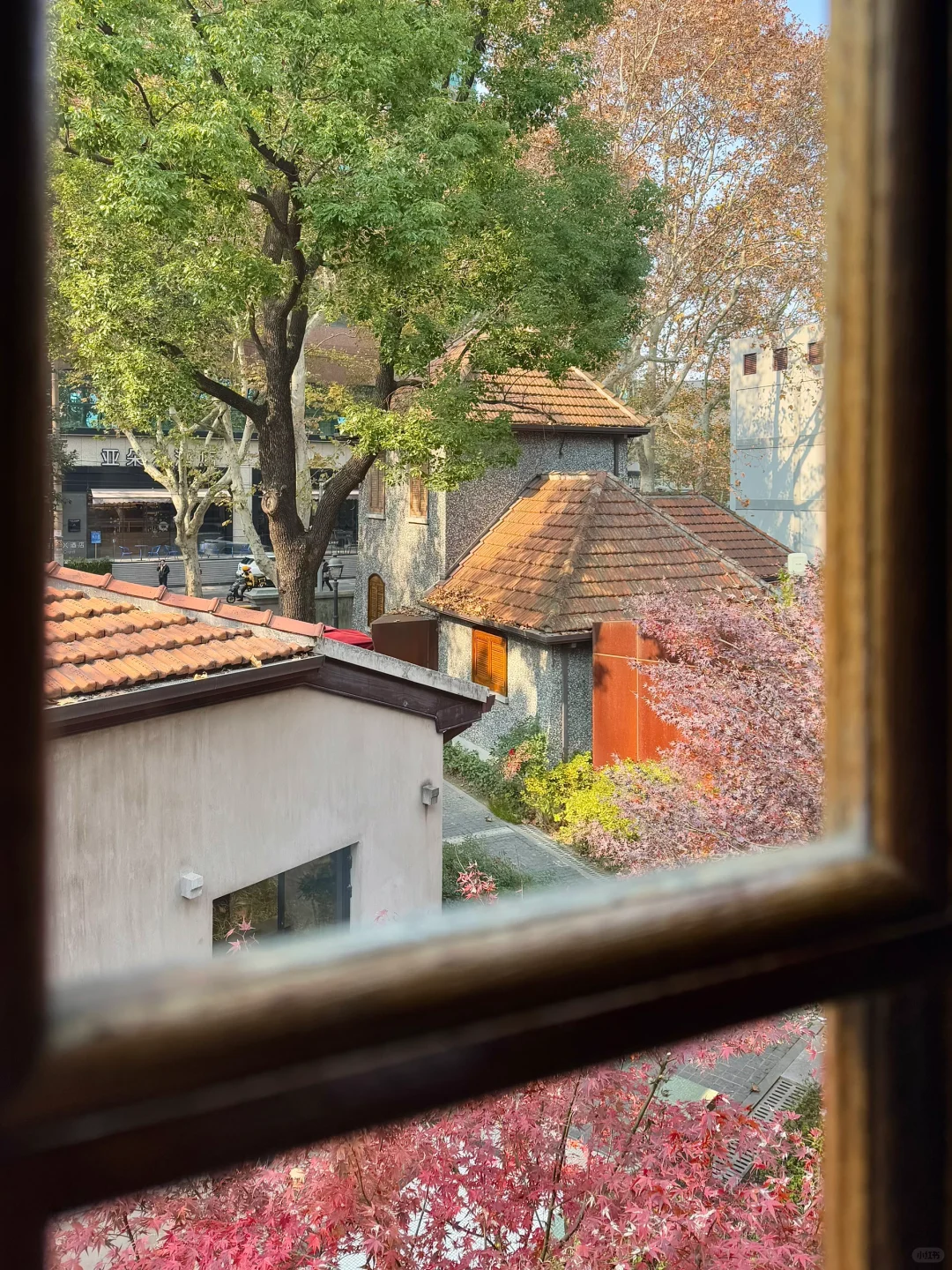 上海最难约的博物馆？！藏在老洋房里