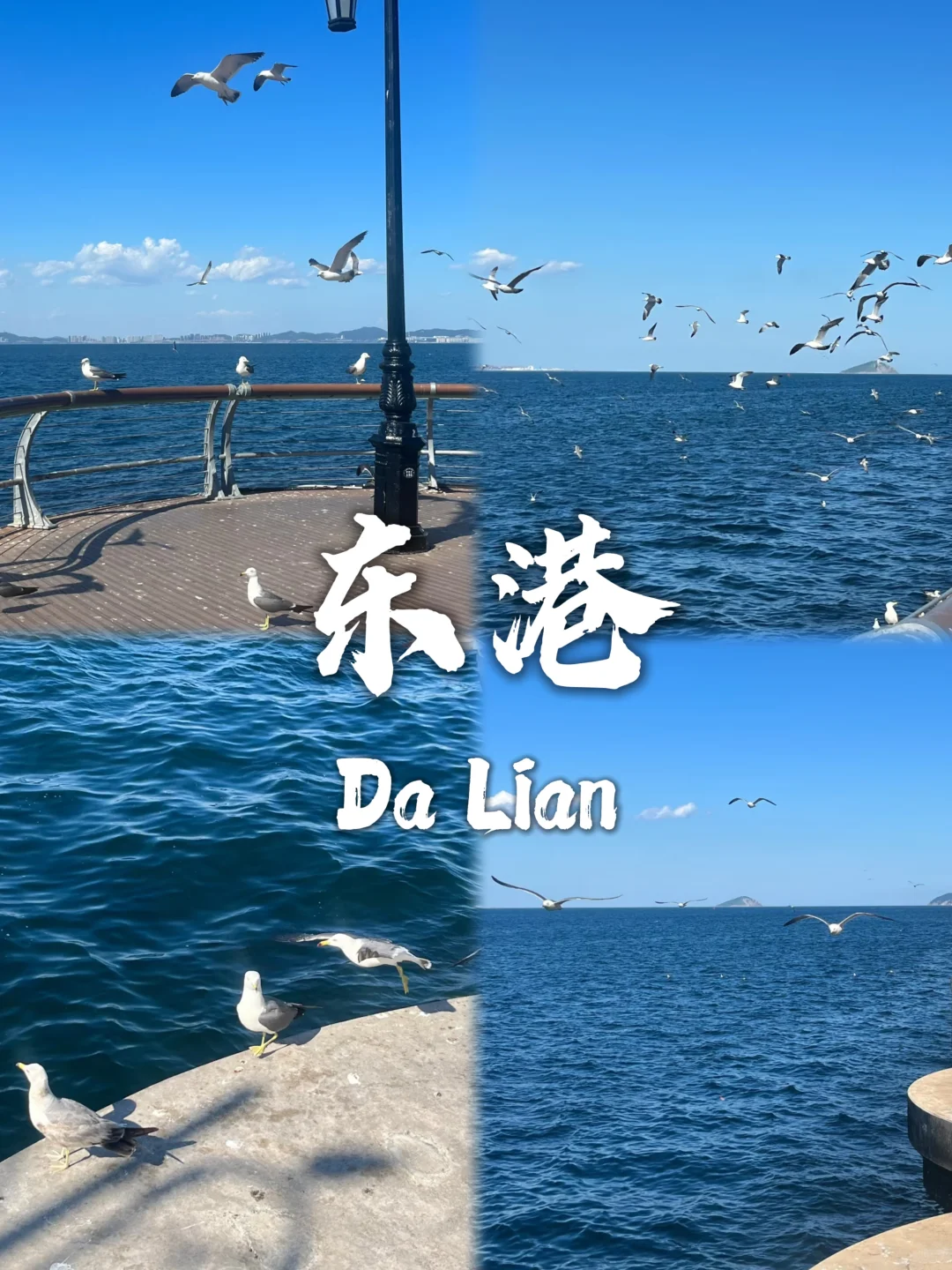 大连必打卡的九个景点❗❗