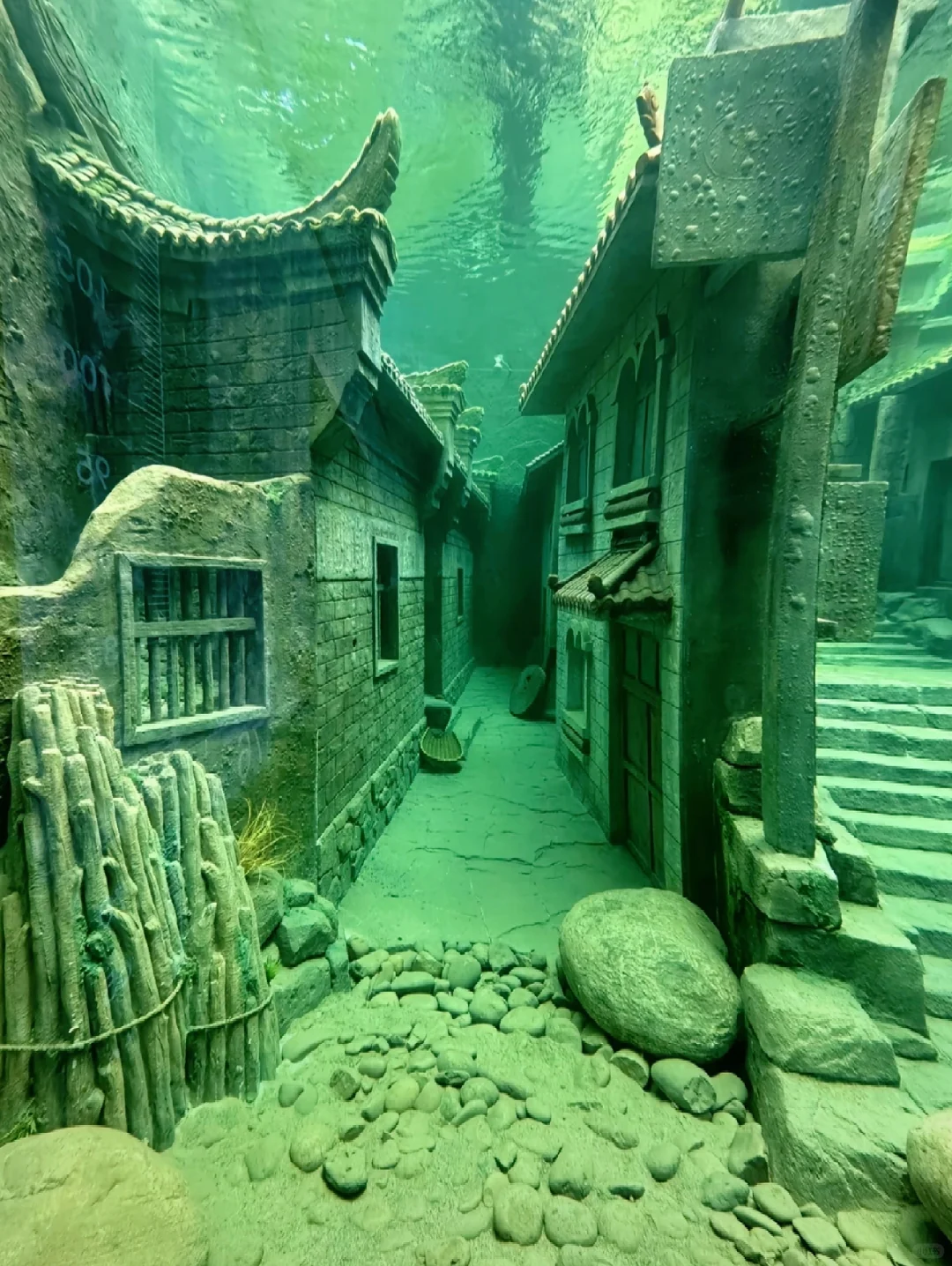 长见识了！第一次见到水下博物馆