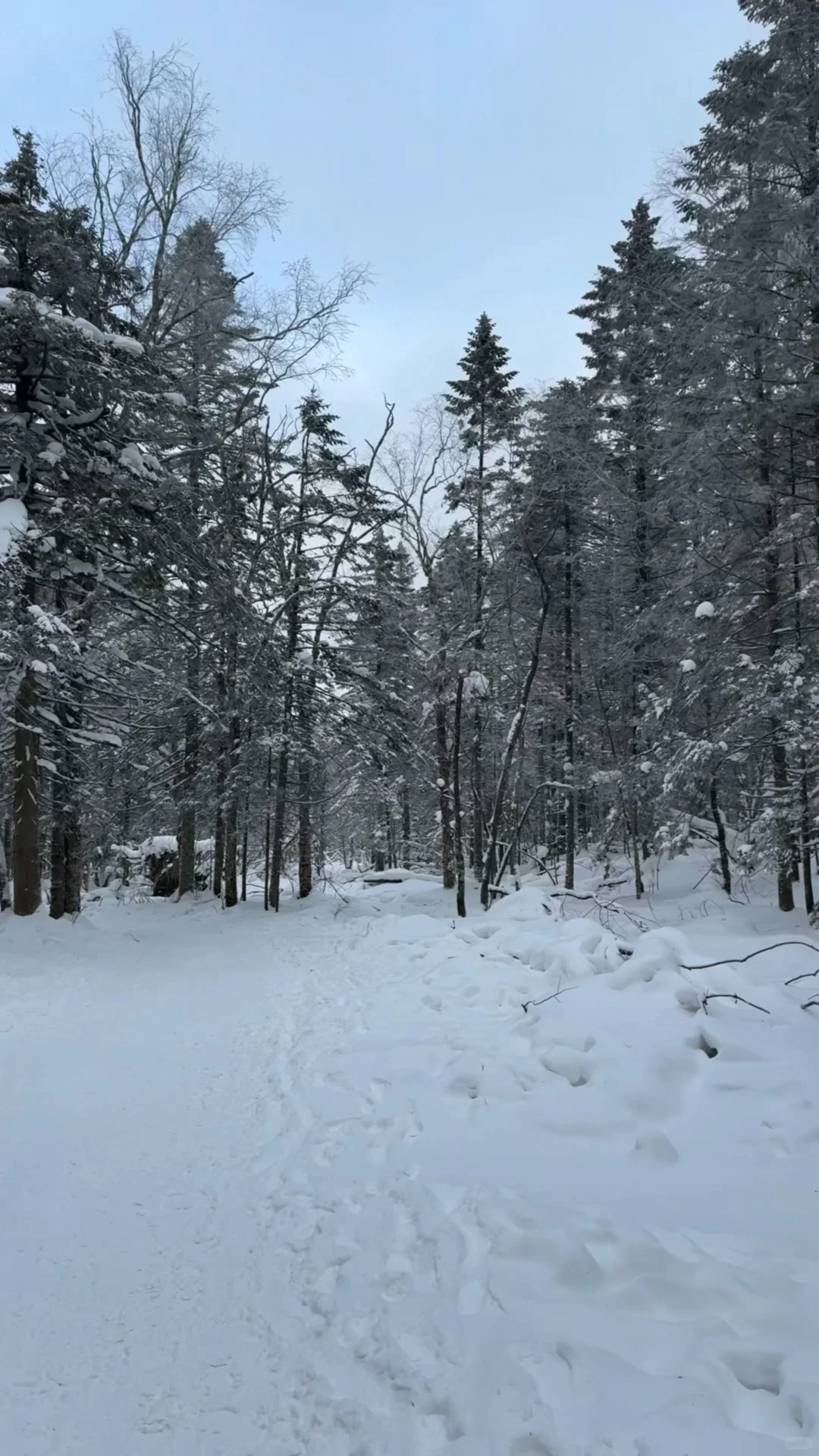 ❄️一篇看懂雪岭和老里克湖怎么选