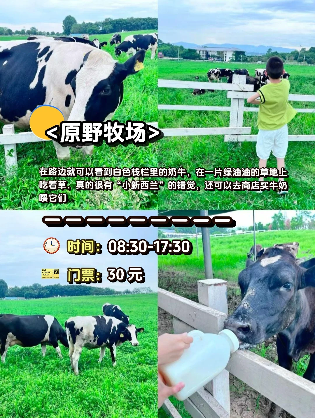 🌟德阳旅游攻略|这 1️⃣2️⃣个景点一定要去‼️