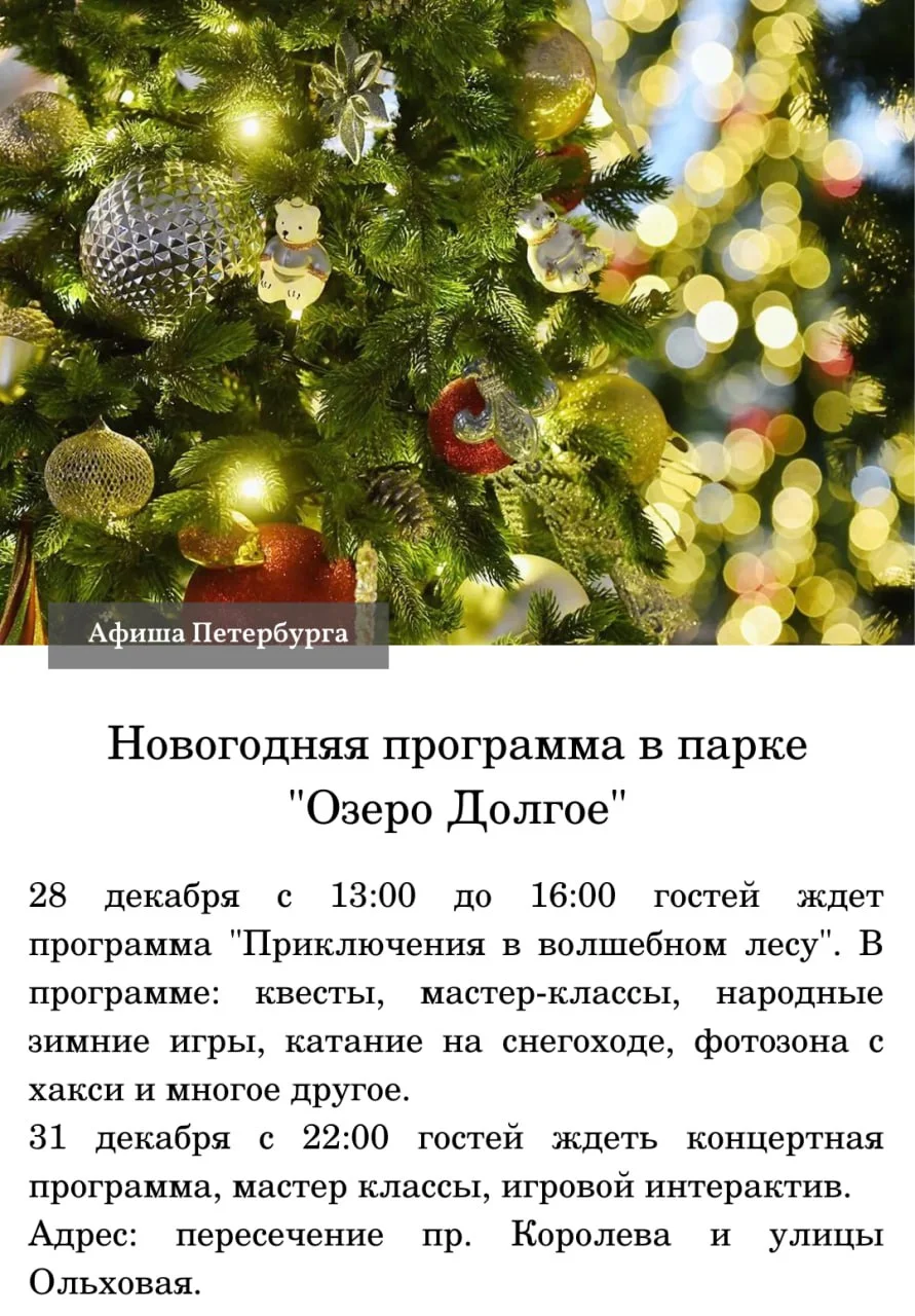 圣彼得堡｜新年活动计划🎄