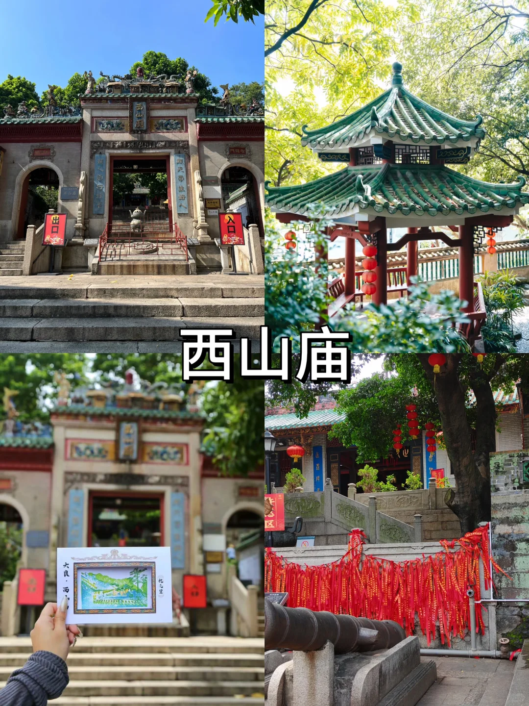 顺德一日游🏝！！本地人爆推🔥必打卡景点！！