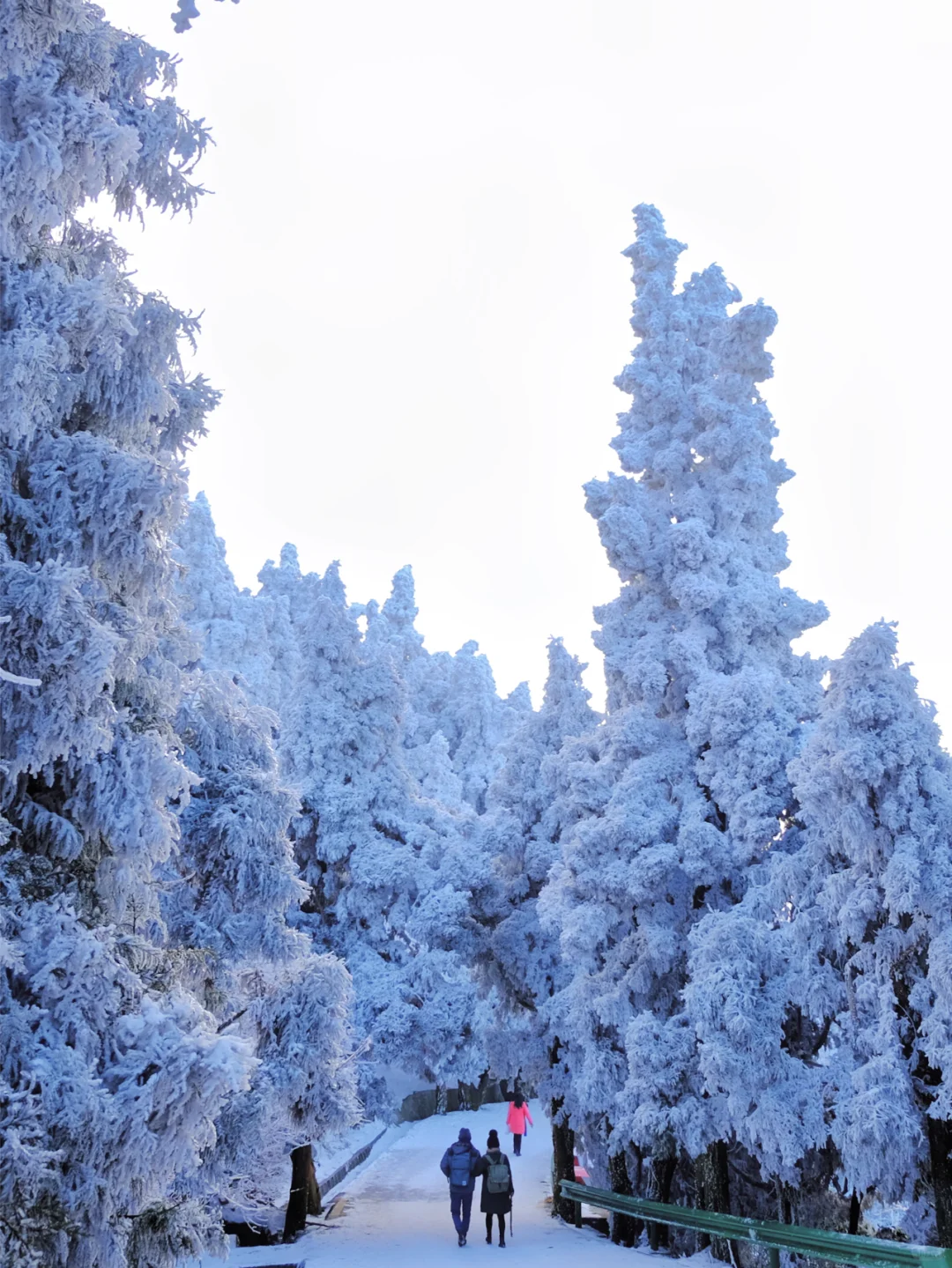 广东2h直达！最省时省钱的赏雪地：南岳衡山