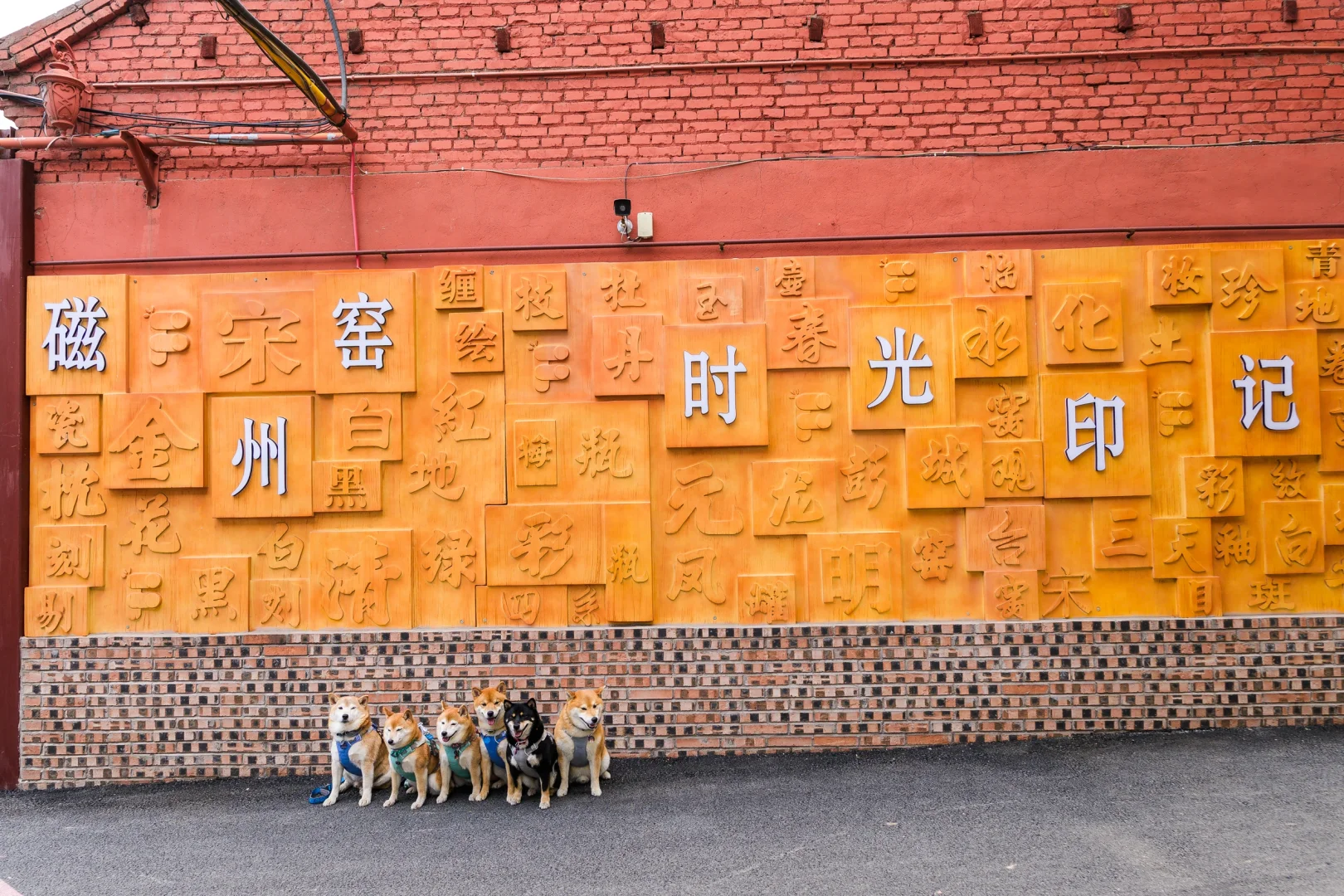 小狗们的仙剑奇侠传|宠物友好5A景区|邯郸