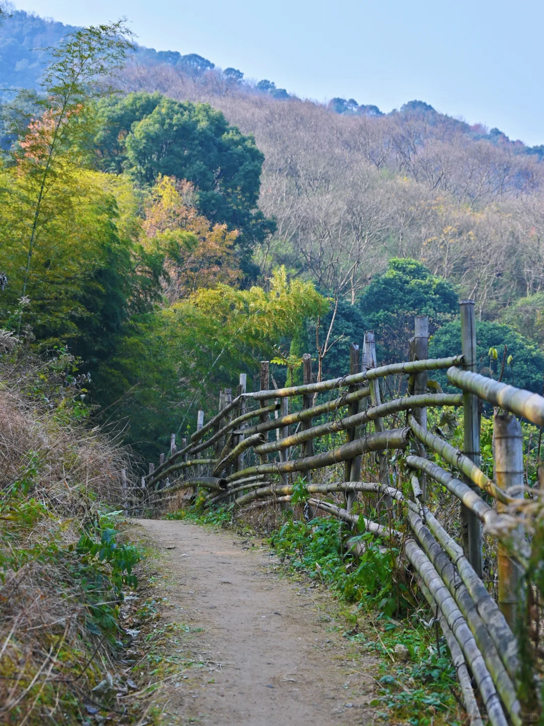 没想到！宁波0.5h藏着一条绝美山水徒步路线