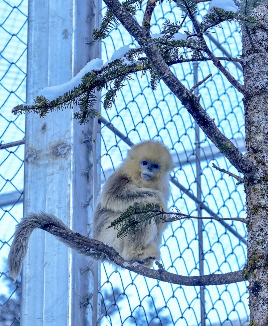 去过神农架8次，掏心窝子说点大实话