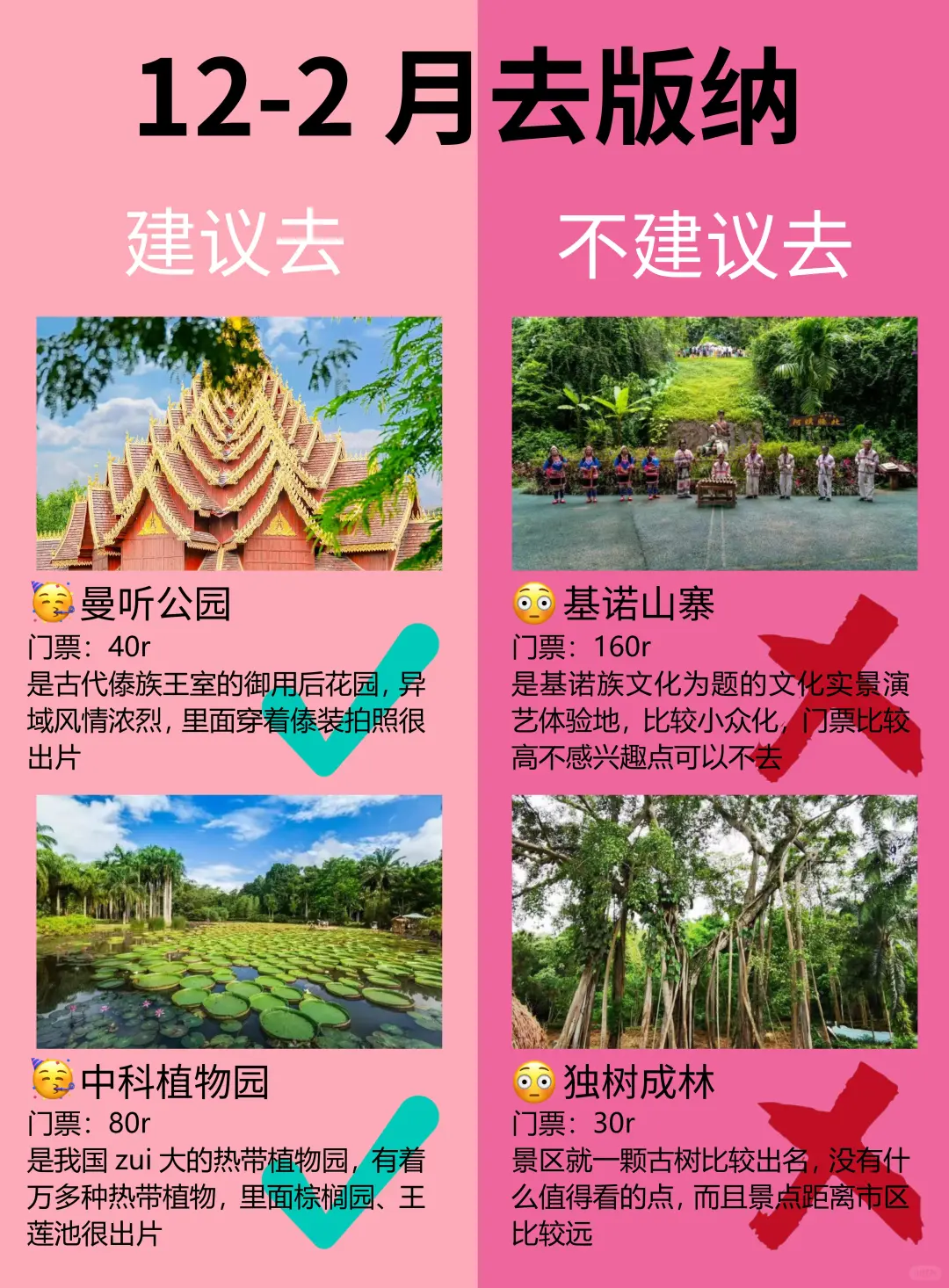 版纳12-2月景点红黑榜📍建议去🆚不建议