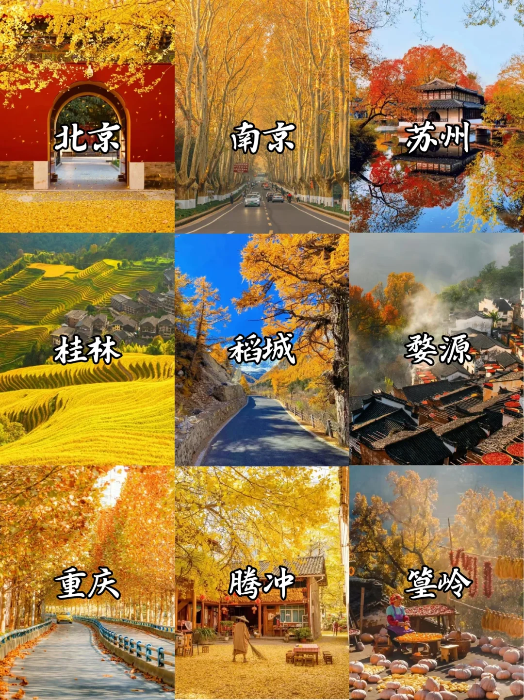 ⑧个赏秋好去处🍂叫上朋友快出发吧✈️