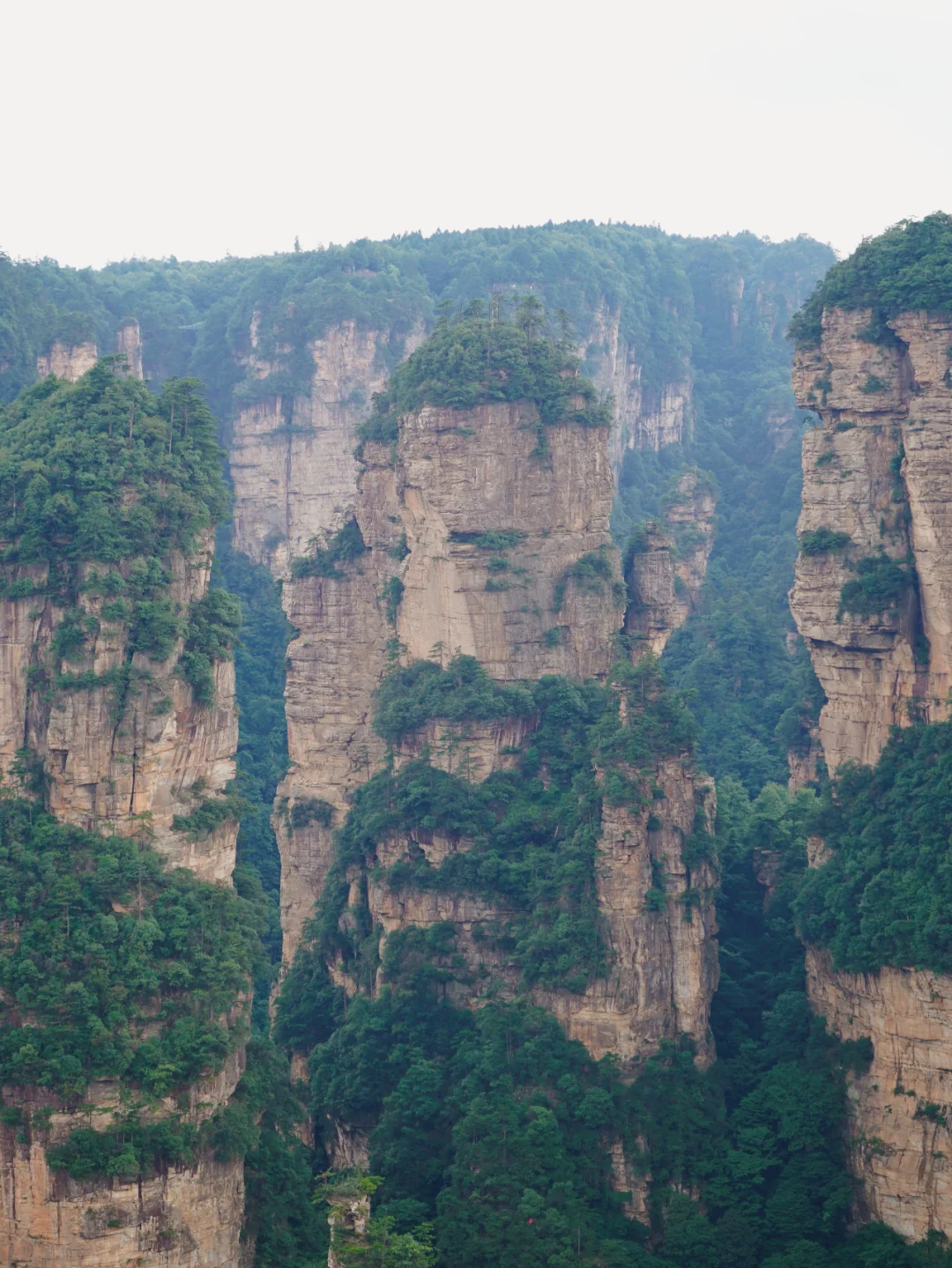 湖南｜5天4晚自由行攻略，精华景点全包含❗