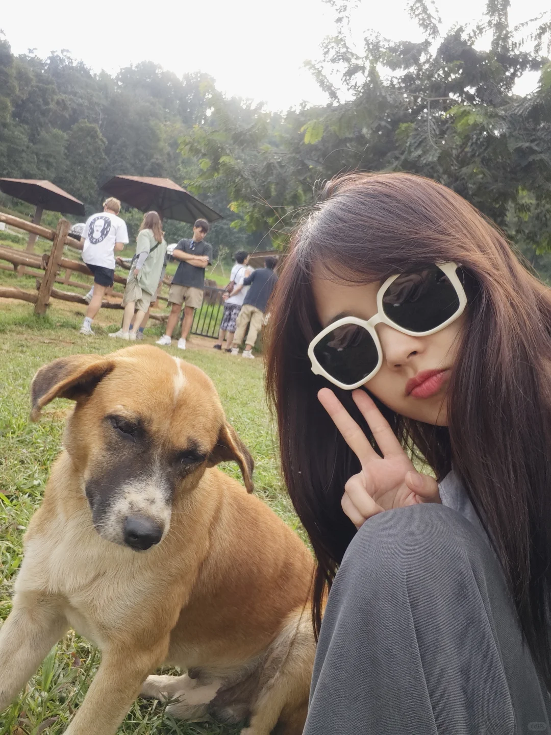 旅行是一场短暂的逃离