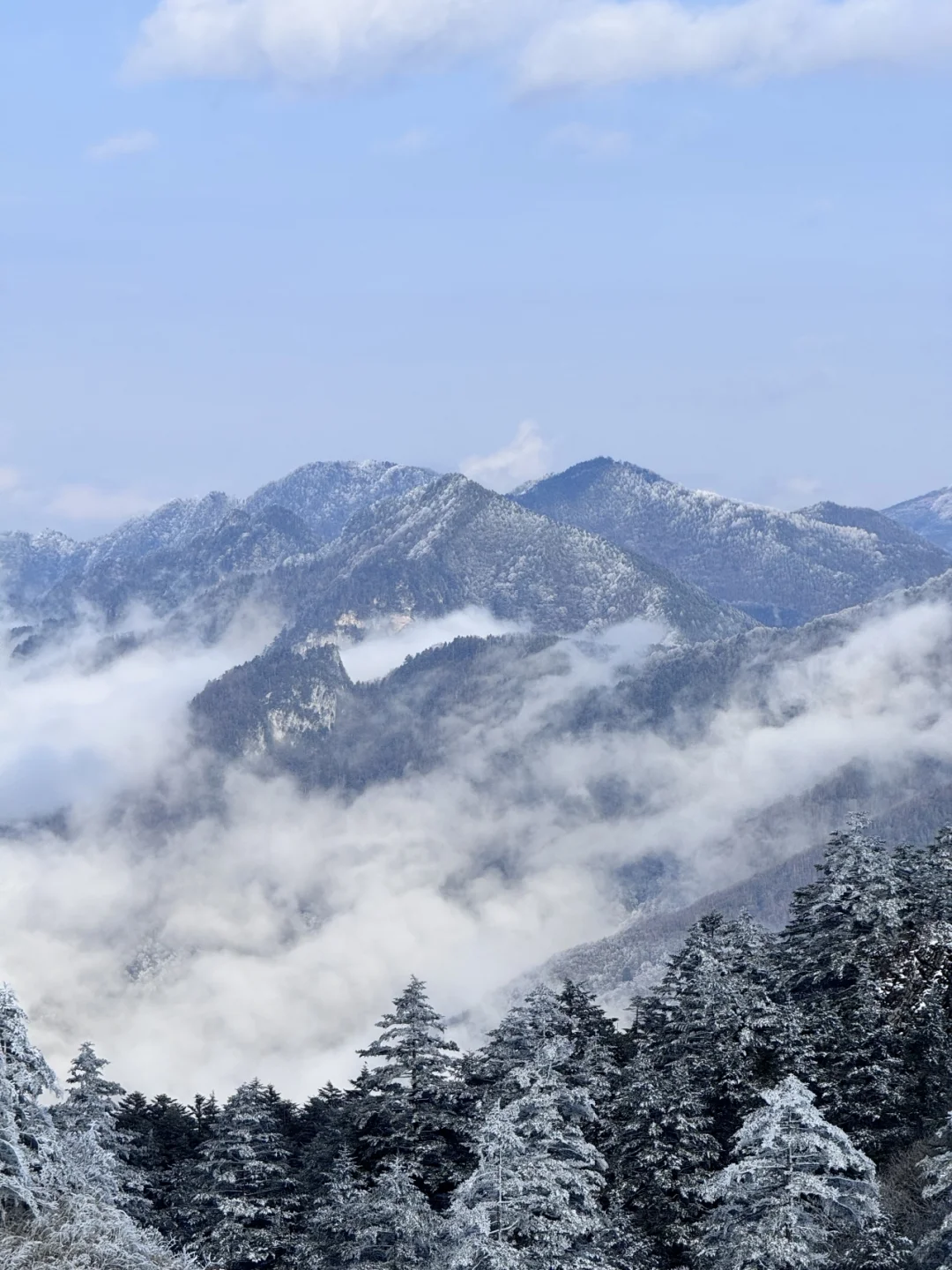 去过神农架8次，掏心窝子说点大实话