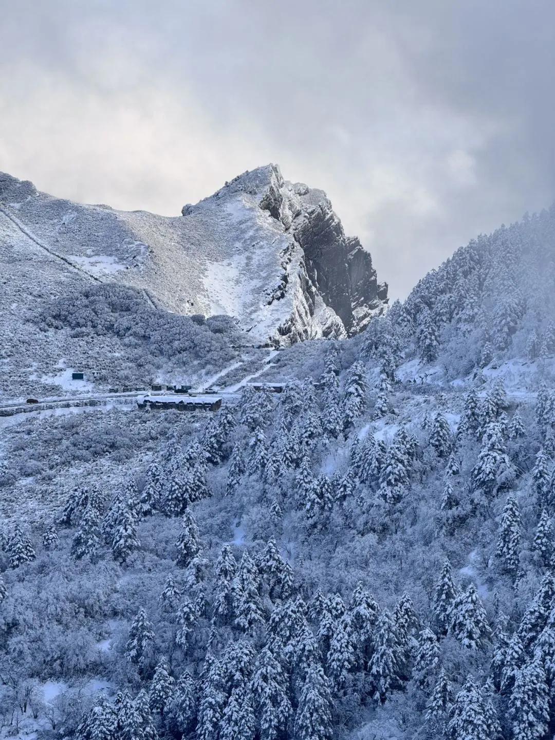 去过神农架8次，掏心窝子说点大实话