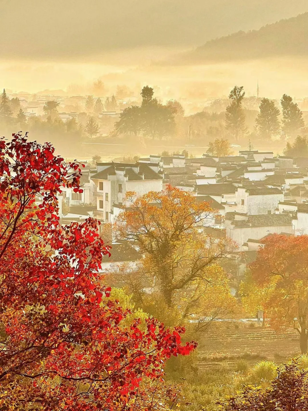 后悔没早点来徽州,小红书跟风最成功的一次