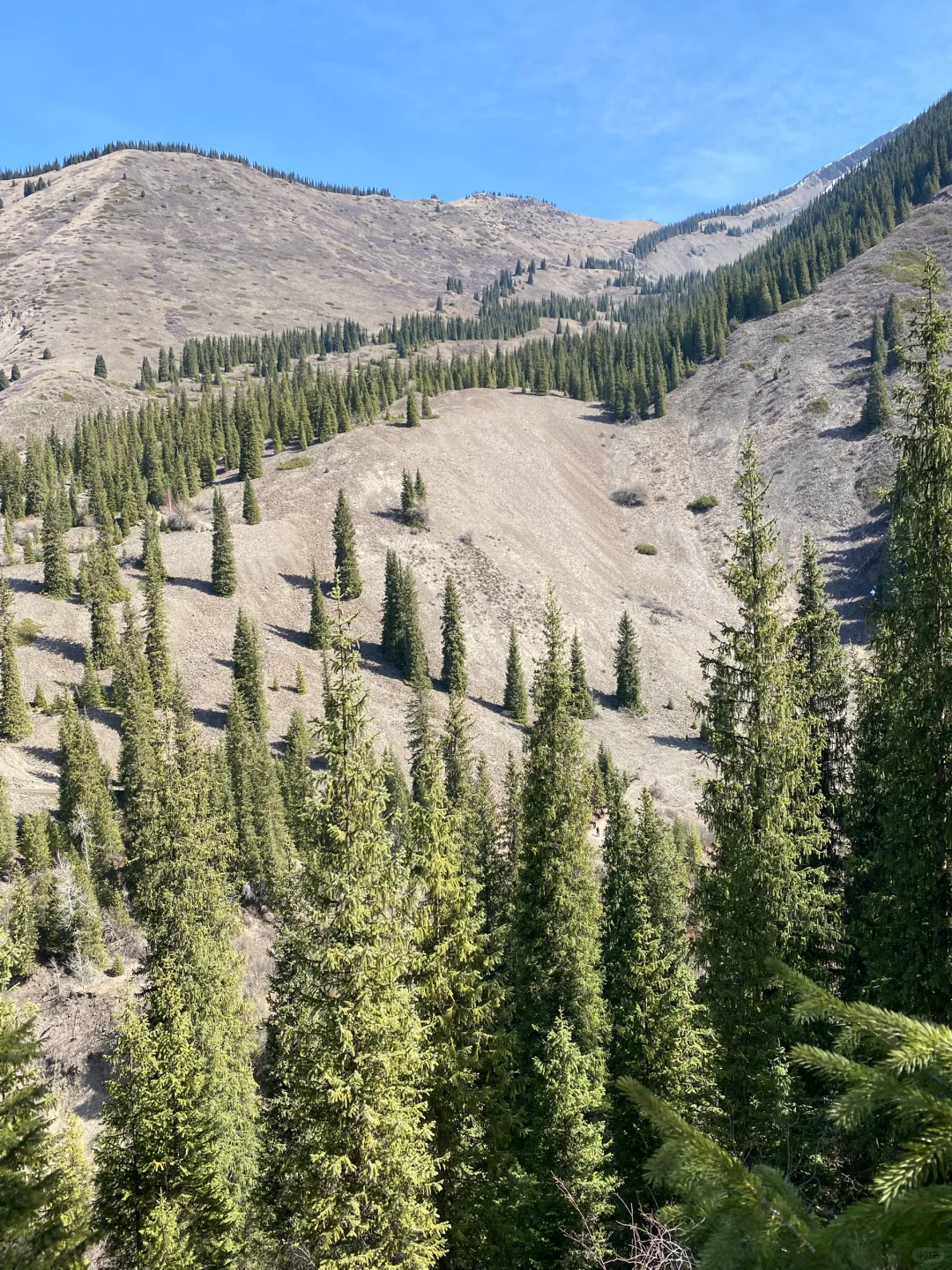 乌兹别克和哈萨克斯坦旅行比较和总结