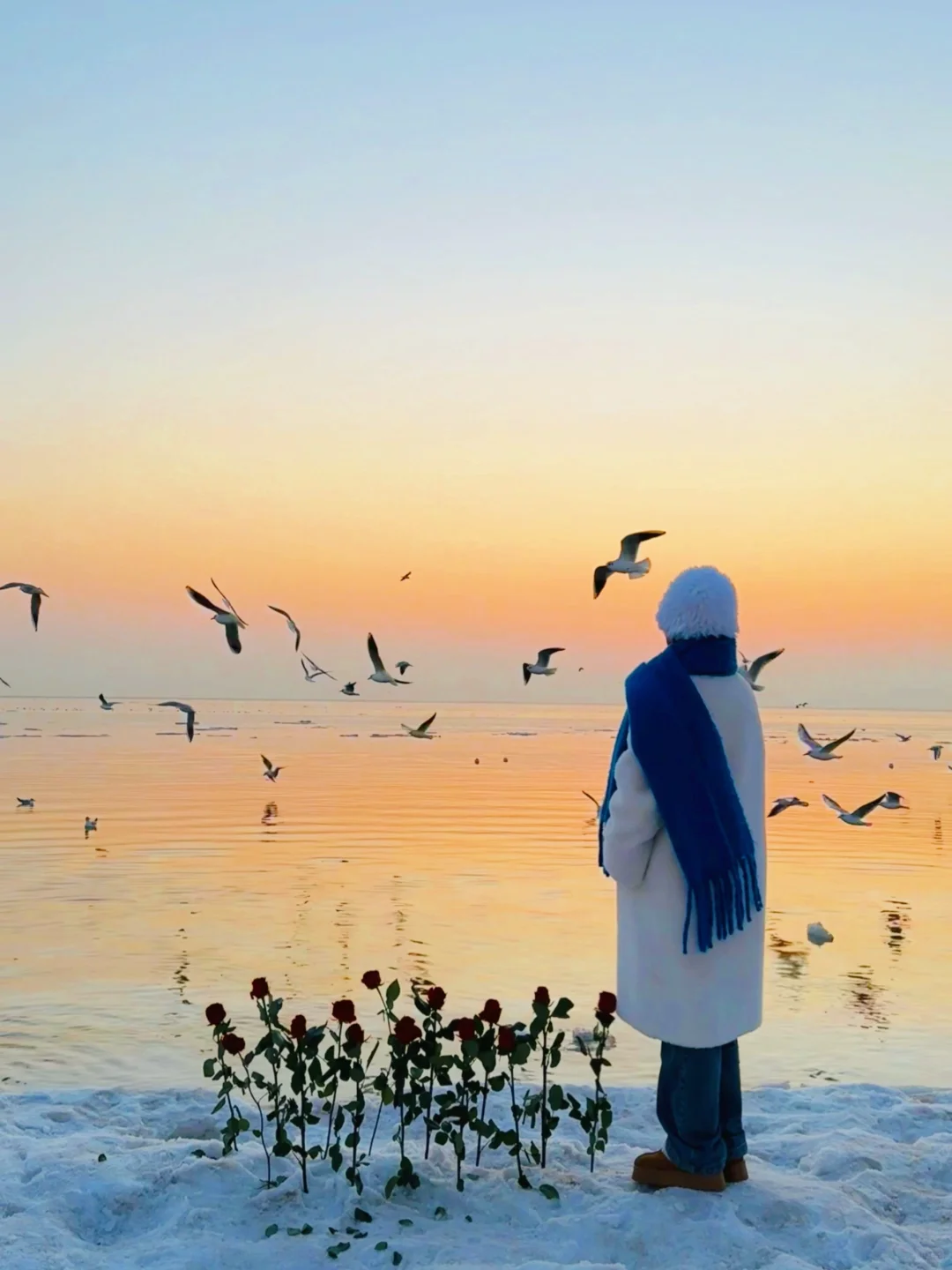 为了这𝟏𝟖张𝐥𝐢𝐯𝐞图我去了趟秦皇岛🌊