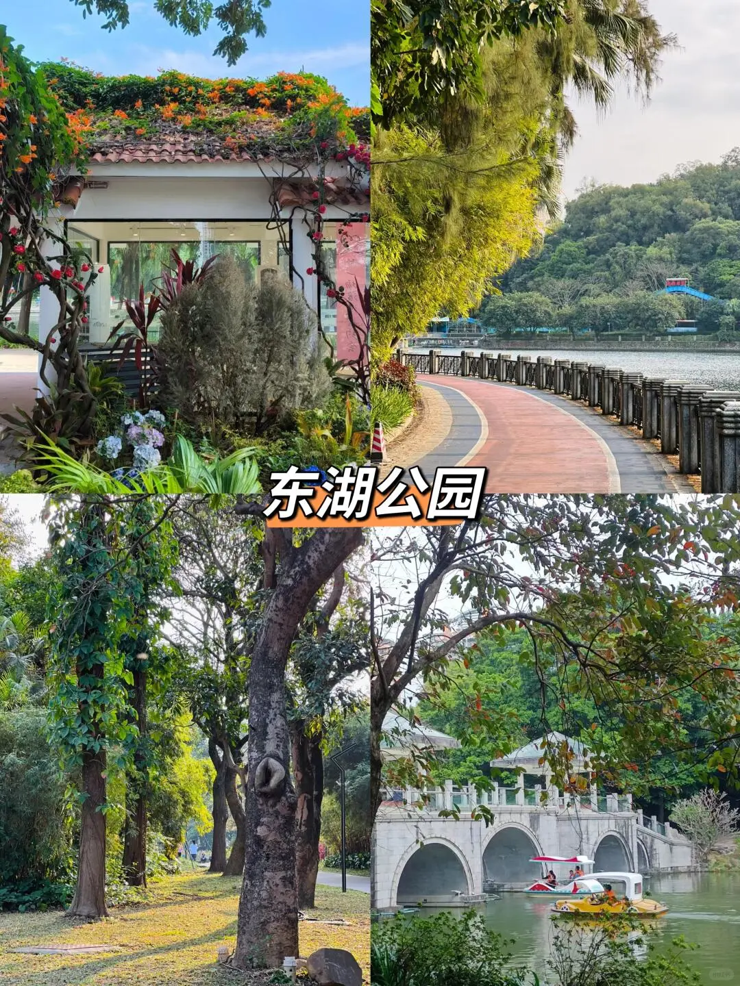 江门必打卡九大景点🔥‼️附旅游攻略