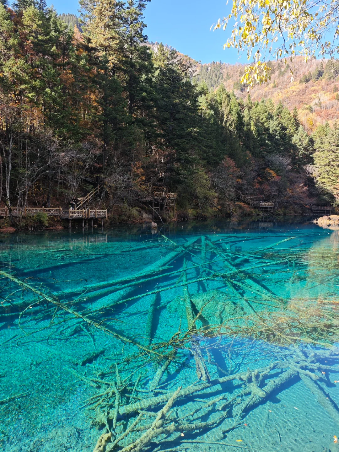 成都5天玩遍周边所有精华景点