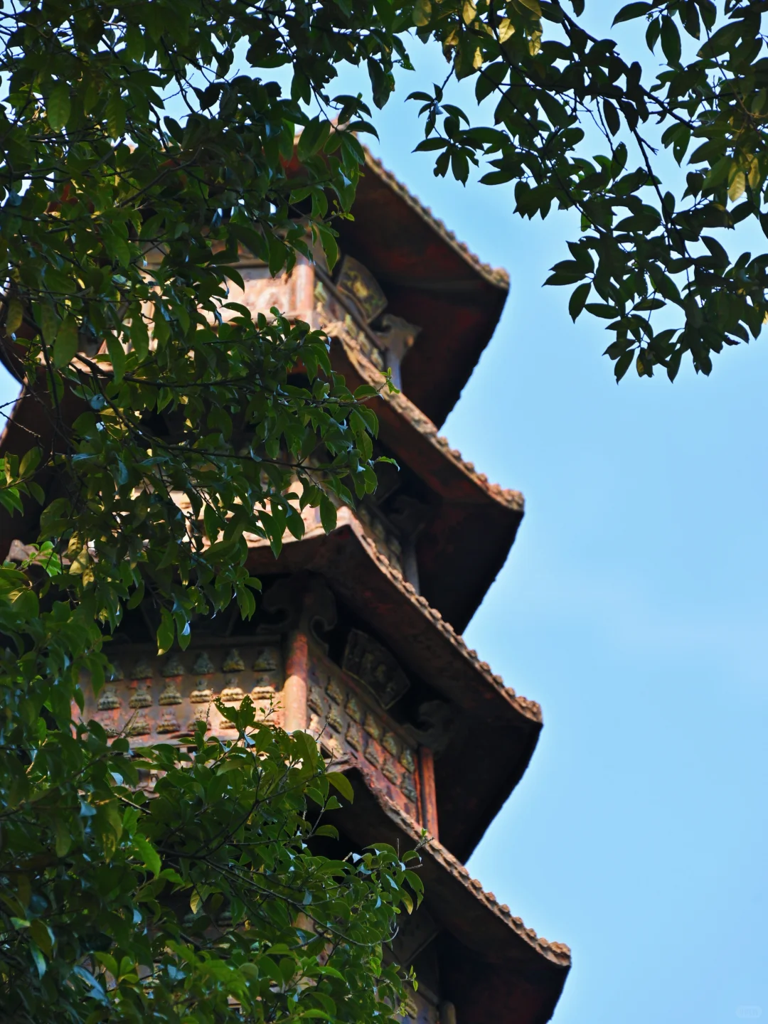 没想到！宁波0.5h藏着一条绝美山水徒步路线