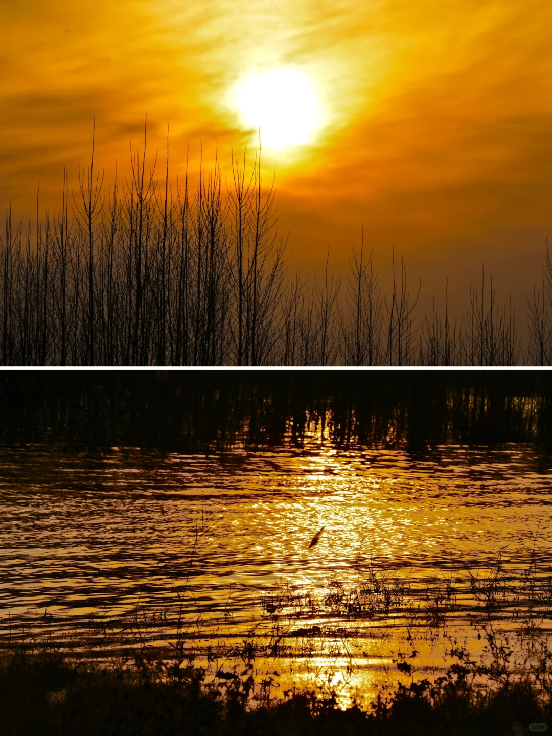 骗你去——河北邯郸2024.12.22