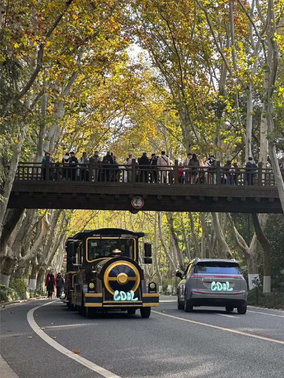 南京会惩罚每一个不提前预约的P人…