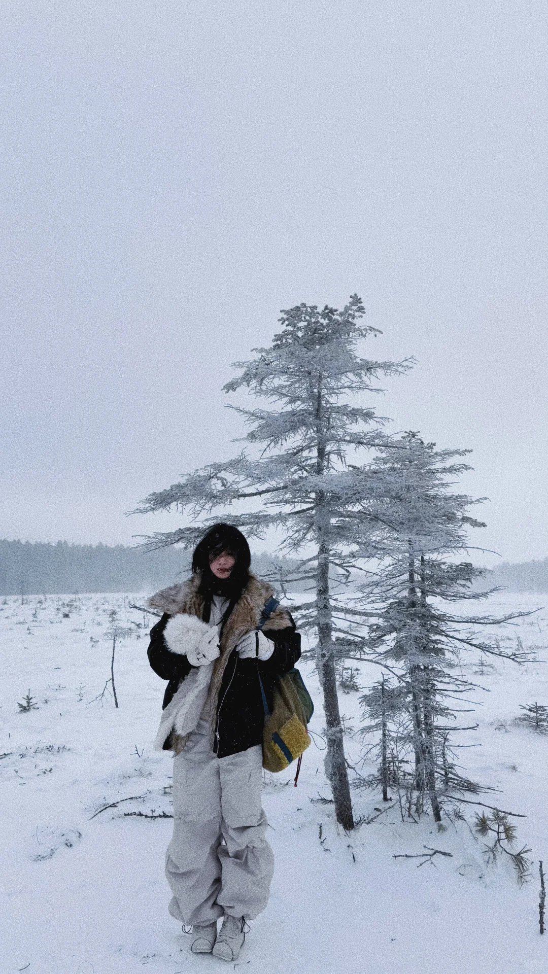 ❄️一篇看懂雪岭和老里克湖怎么选