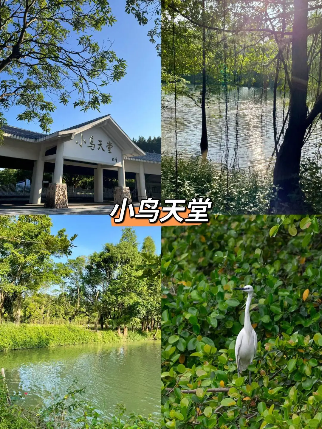 江门必打卡九大景点🔥‼️附旅游攻略