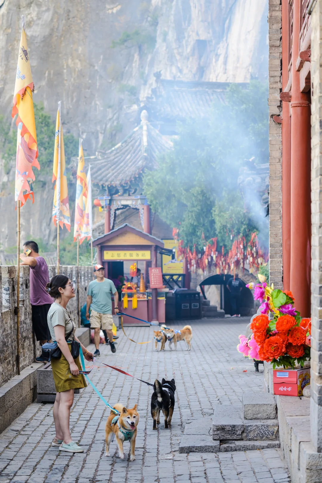 小狗们的仙剑奇侠传|宠物友好5A景区|邯郸