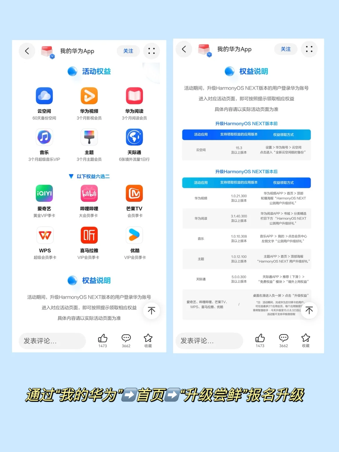 我宣布！没有一个城市比南京更懂得秋天‼️