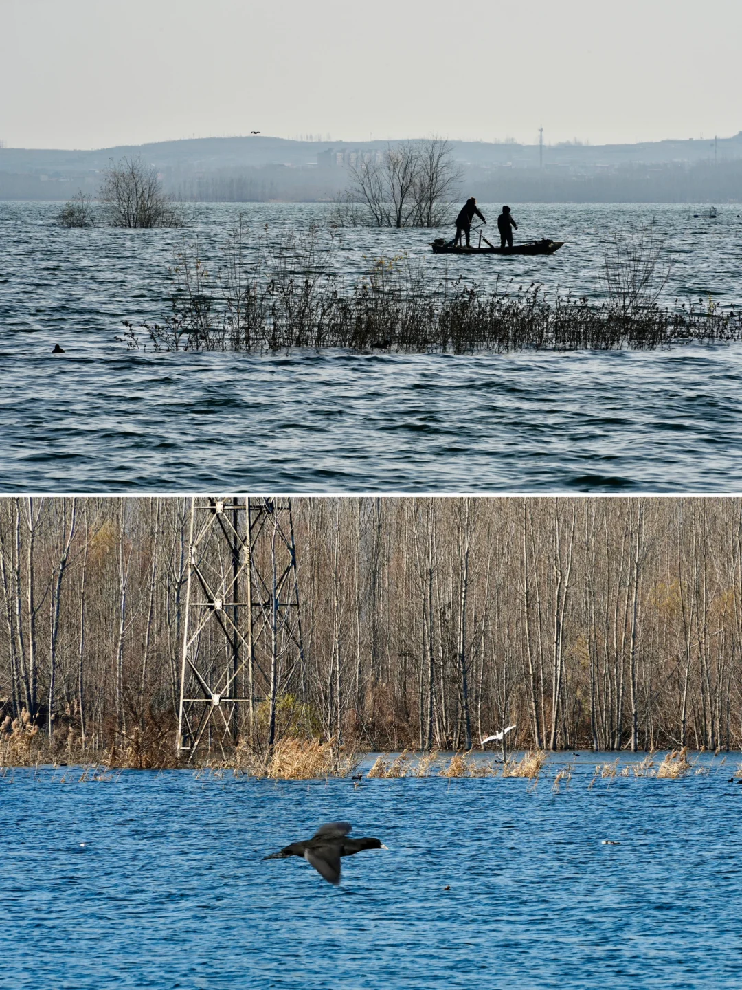骗你去——河北邯郸2024.12.22