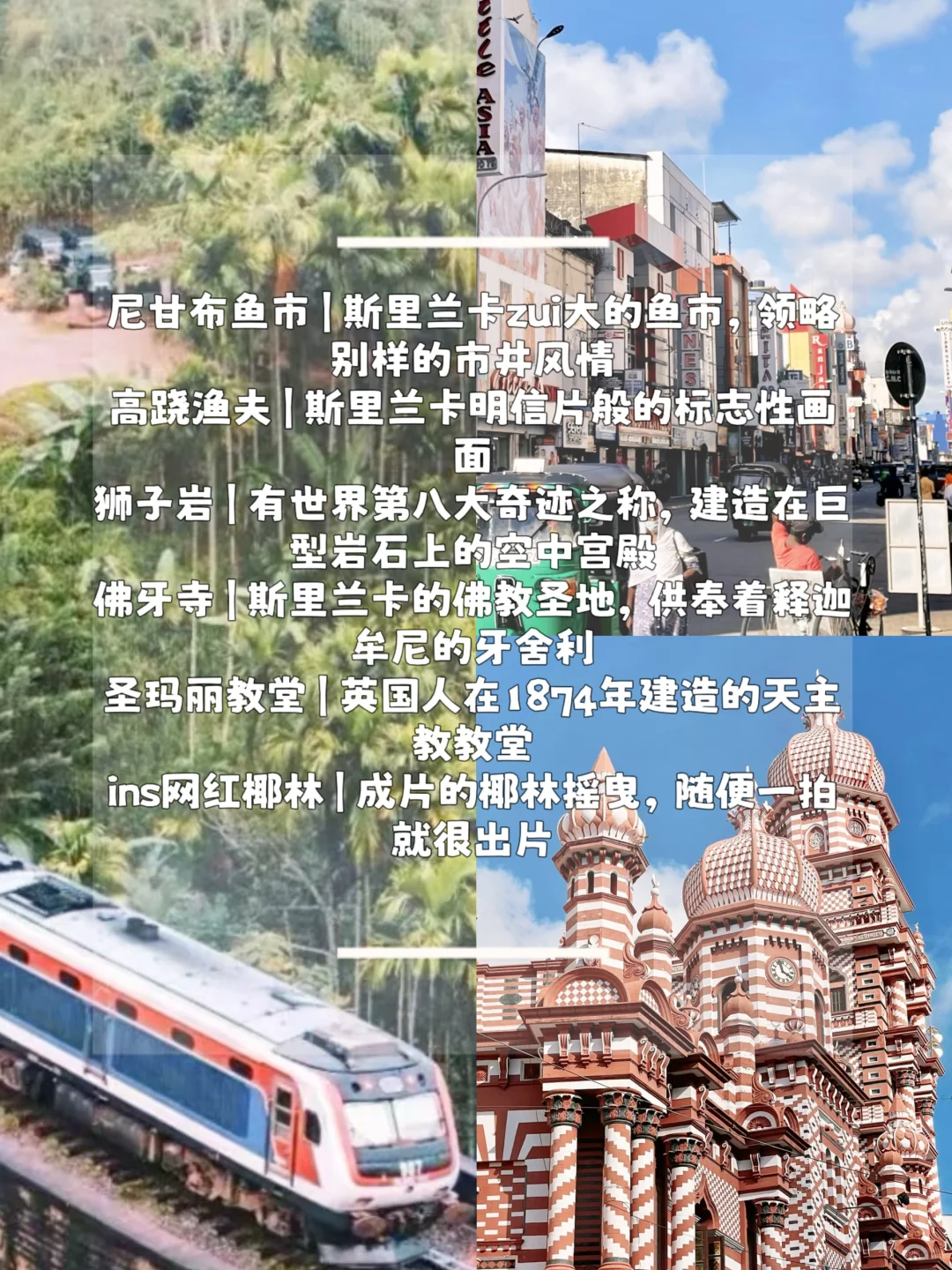 最新中国护照免签国家📅说走就走的旅行安排