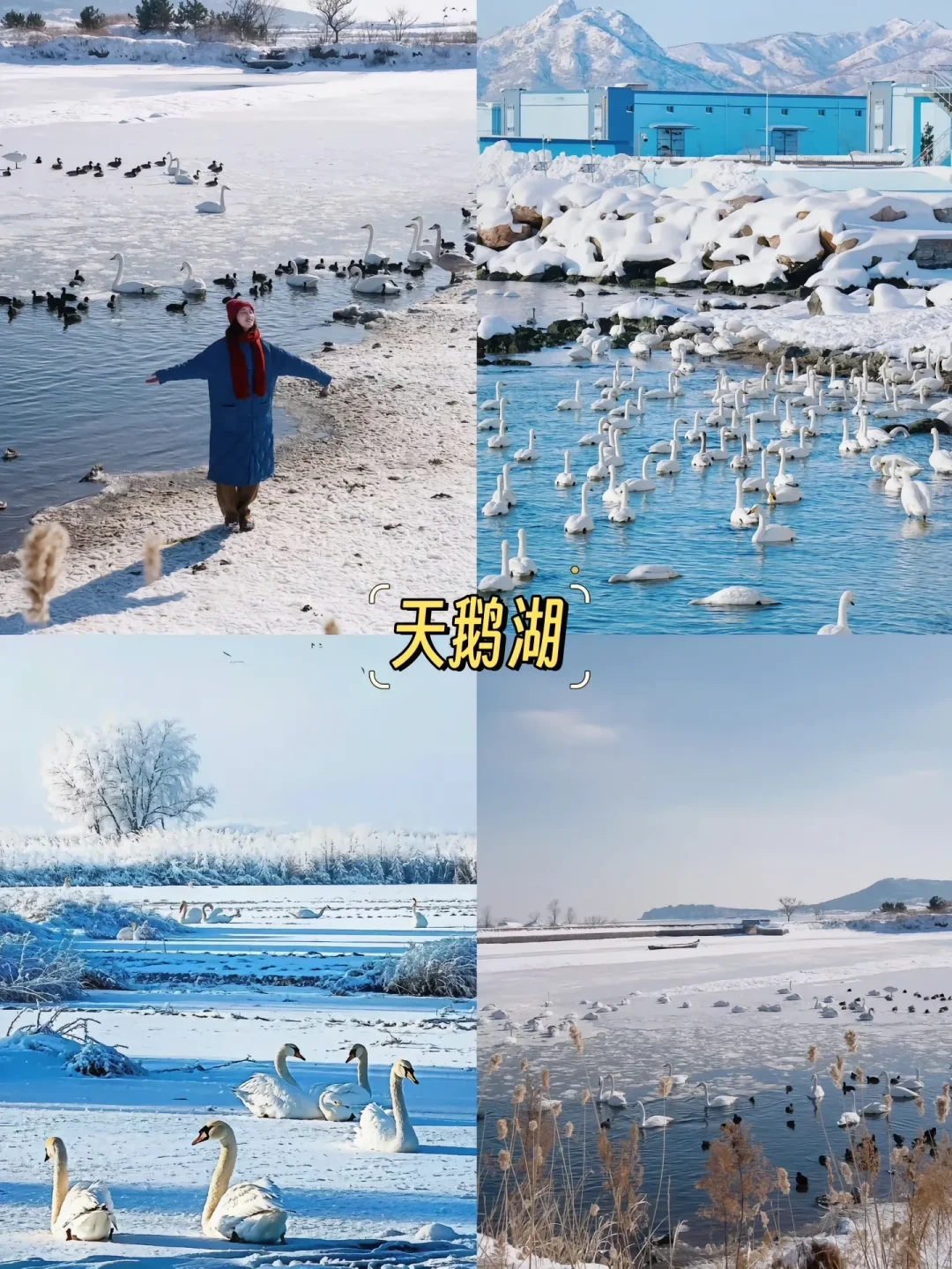 威海冬季必打卡9个景点｜刘亦菲们快收藏吧