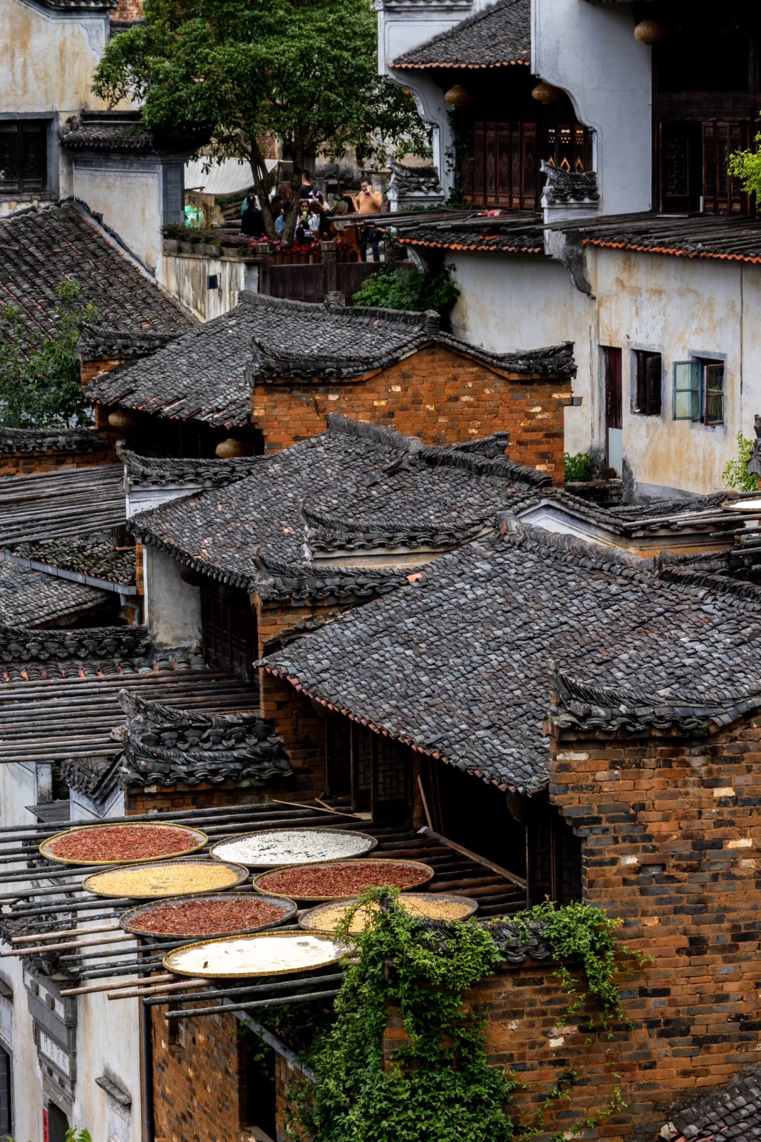 婺源一日游攻略｜篁岭➕婺女洲这两个景点足矣