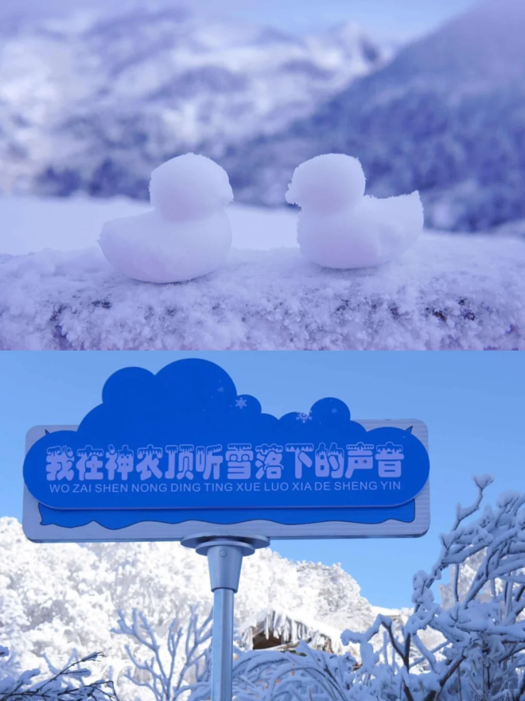 去过神农架8次，掏心窝子说点大实话