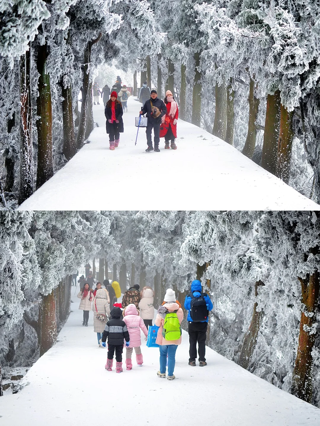 广东2h直达！最省时省钱的赏雪地：南岳衡山