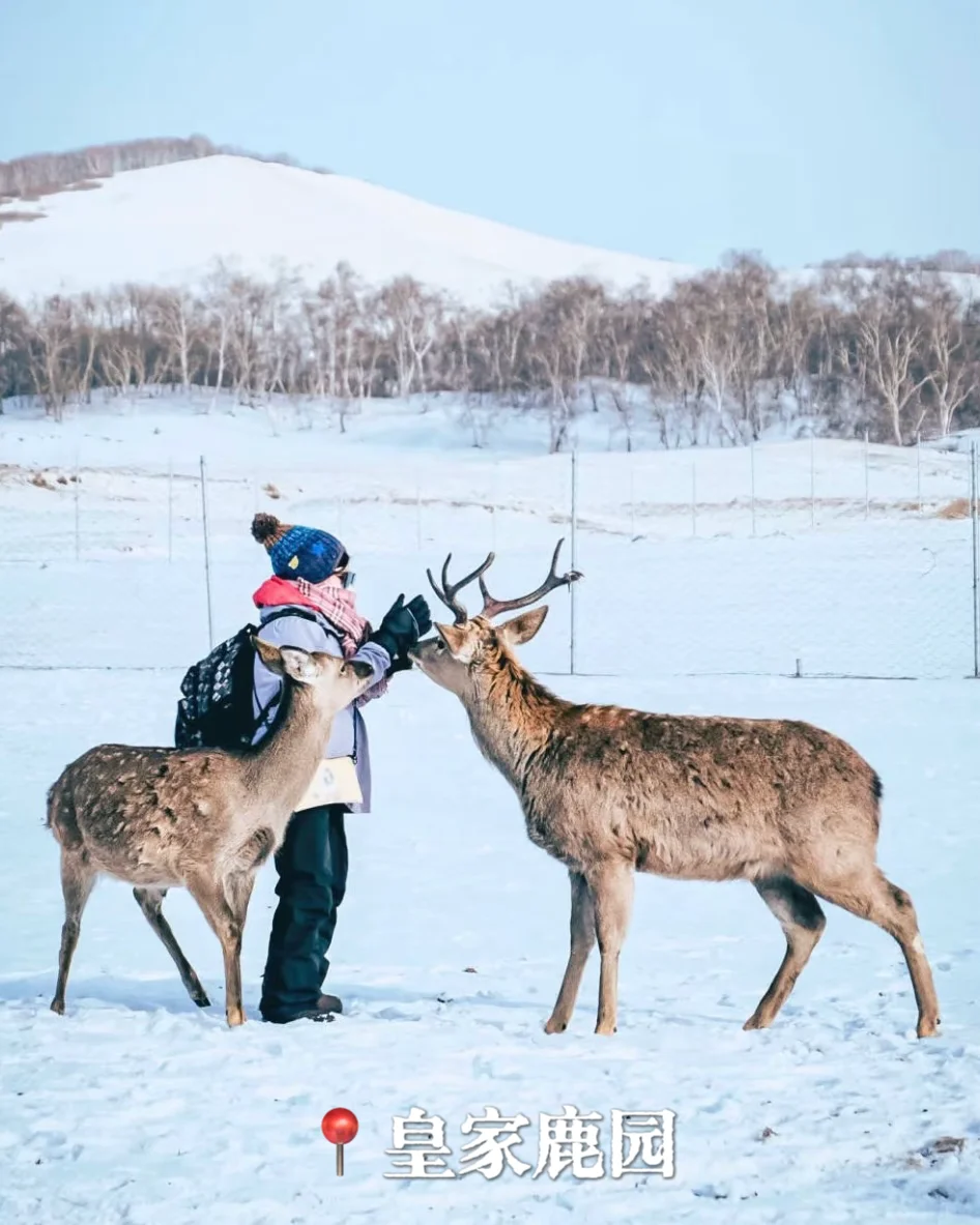 🦌河北的私藏路线，都在这里❗️
