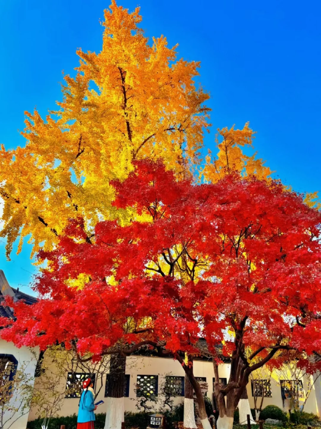 南京会惩罚每一个不提前预约的P人…