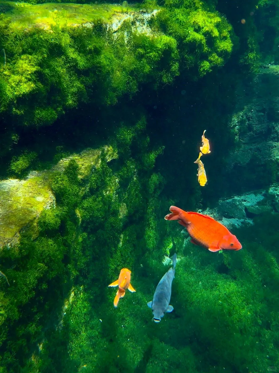j人纯享！济南一日游时间路线攻略已附上