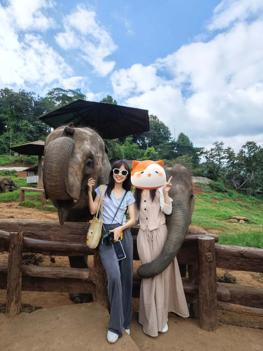 旅行是一场短暂的逃离