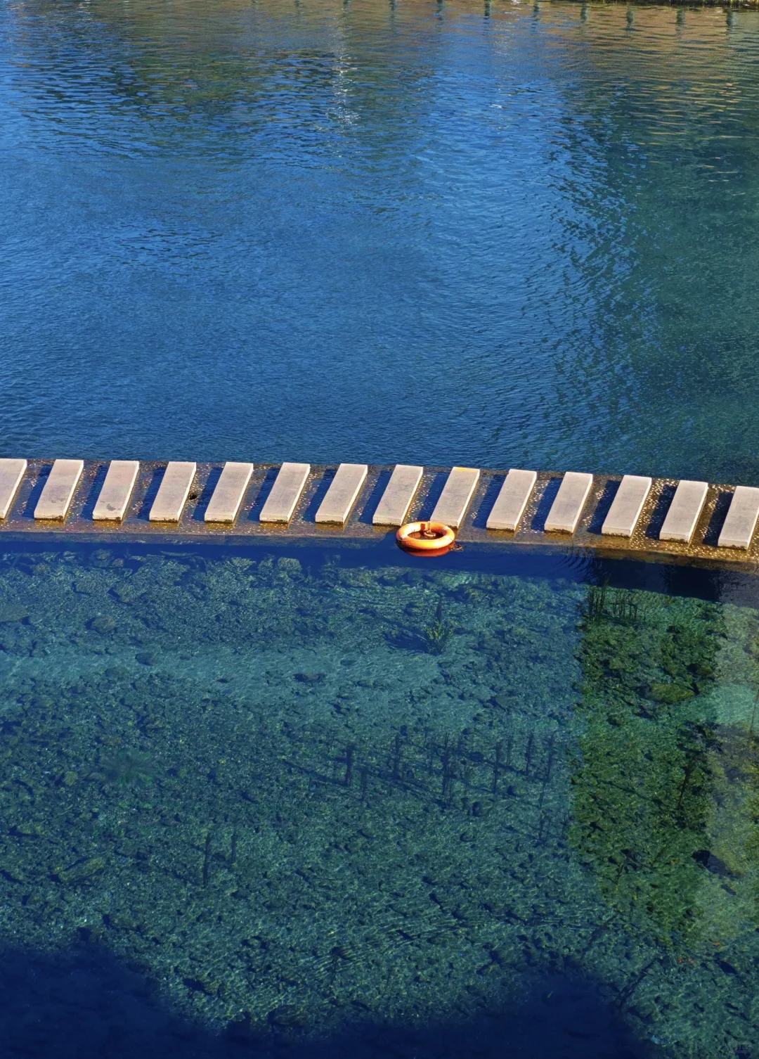 水至清则好多鱼