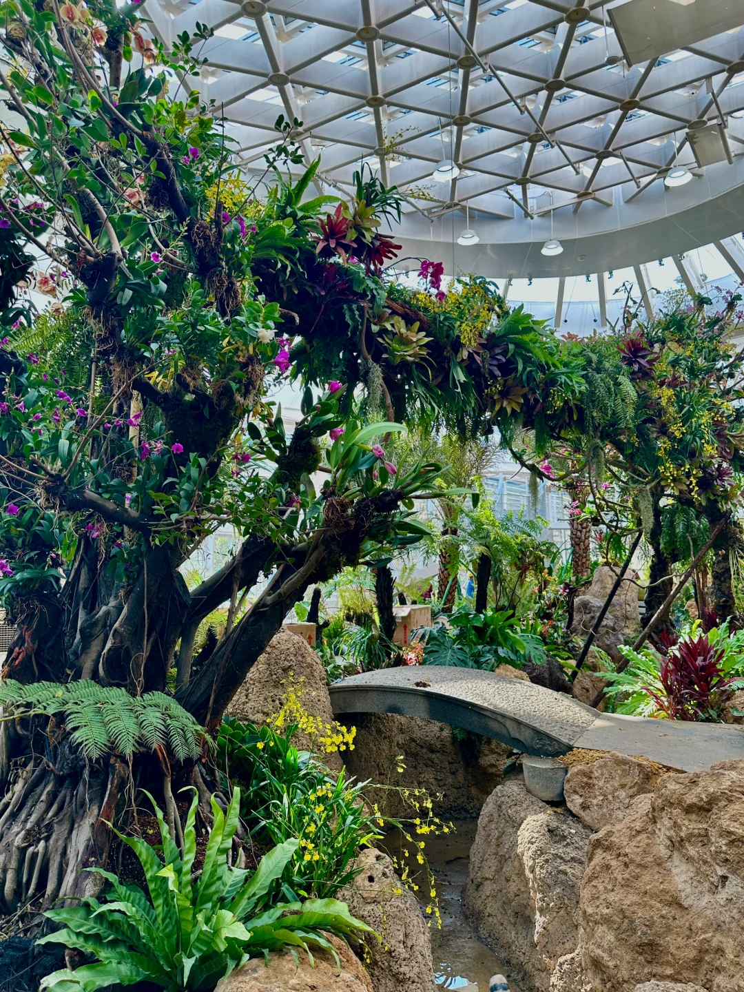 福州三江口植物园实况live㊙️游玩指南📸机位