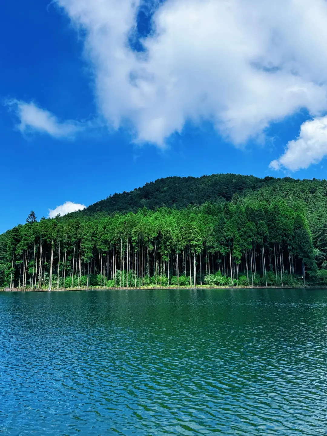 江西明月山是我一辈子最难忘的小众旅游景点