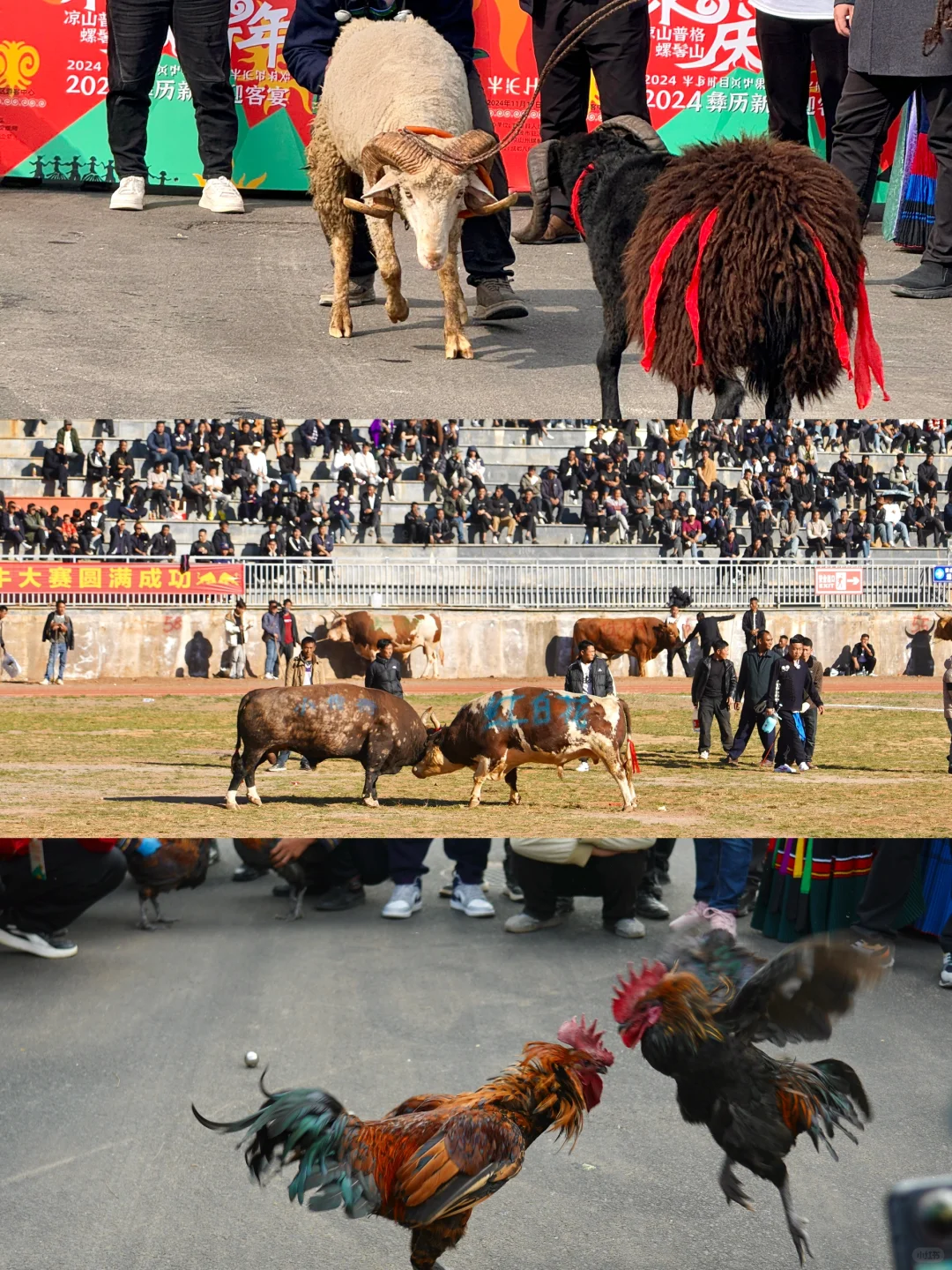 四川被严重低估的雪山小城🏔️（附攻略）