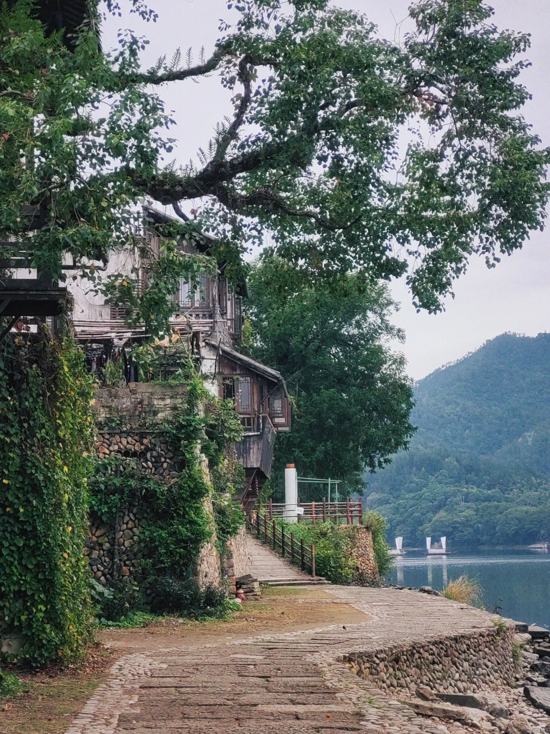 瓯江最美的一段〡丽水古堰画乡详细攻略