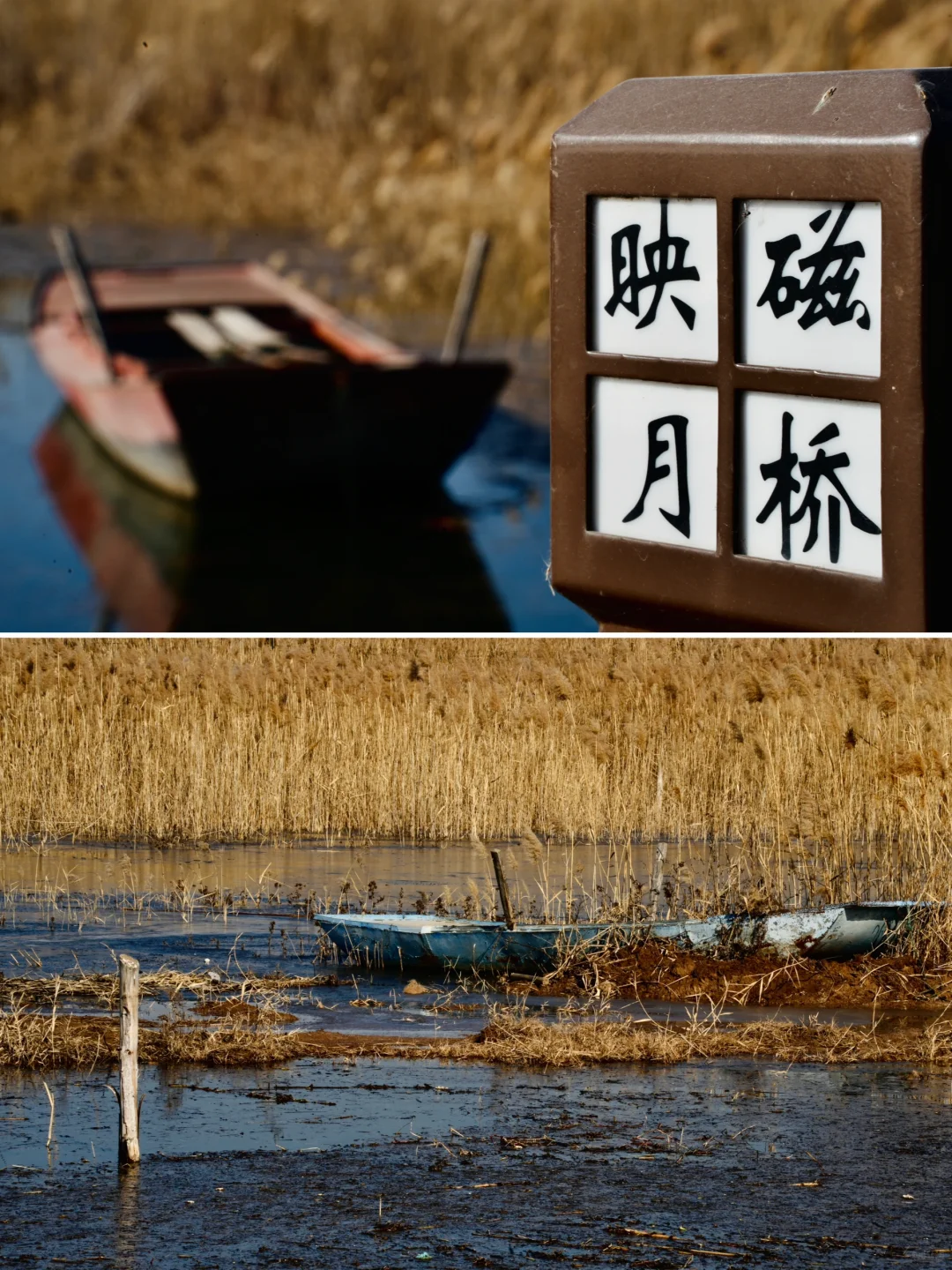 骗你去——河北邯郸2024.12.22