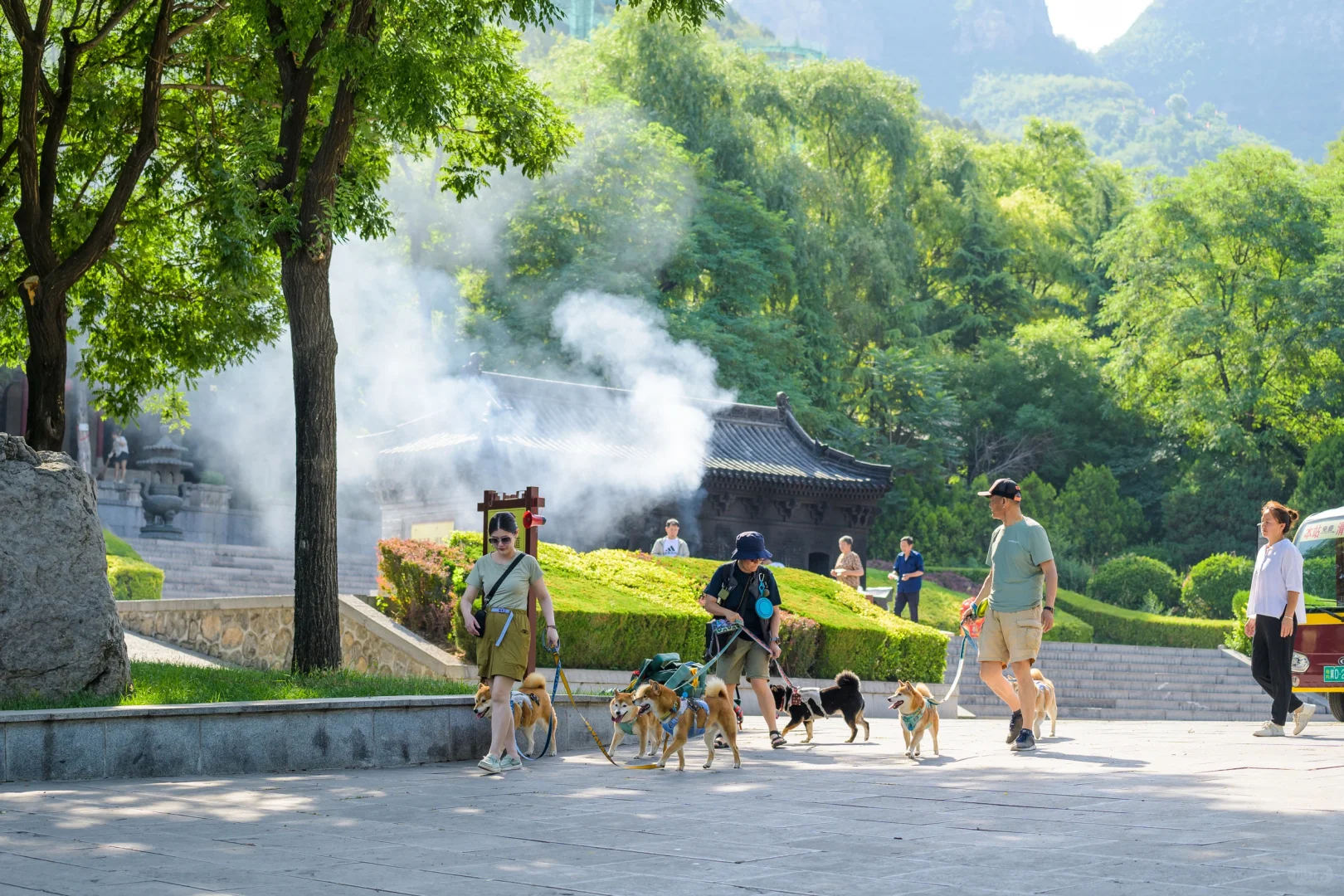 小狗们的仙剑奇侠传|宠物友好5A景区|邯郸