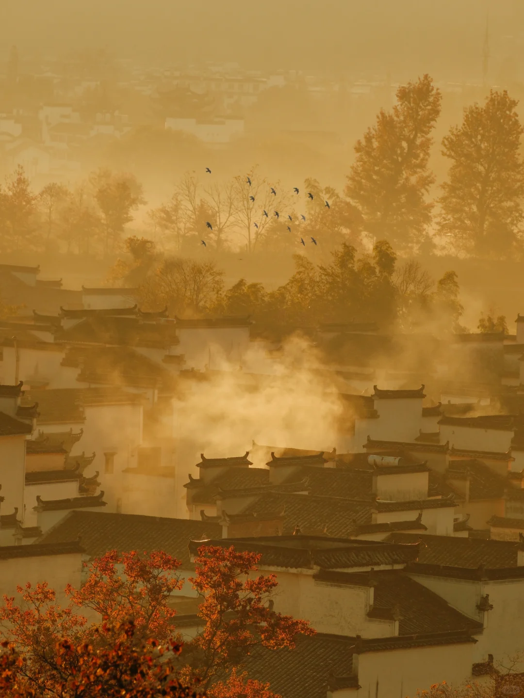 2024旅游结算｜我最难忘的9️⃣个旅行地!