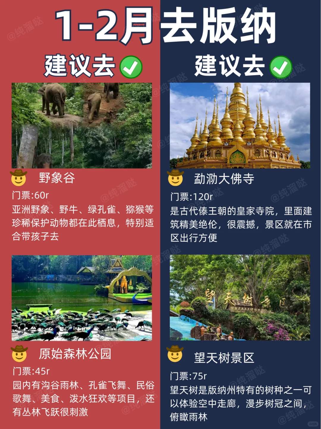 版纳景点红黑榜📍建议去🆚不建议去🔥